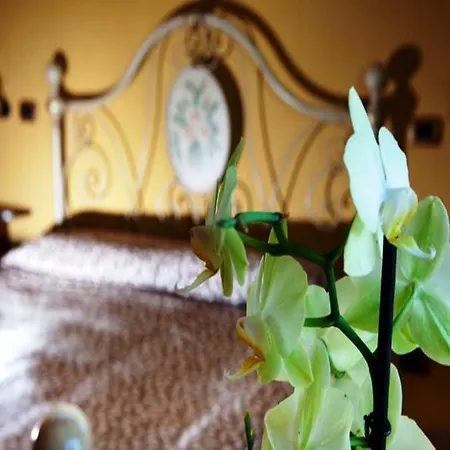 Tenuta Stoccatello *